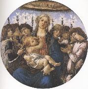 Sandro Botticelli Madonna and Child with eight Angels or Raczinskj Tondo (mk36) oil painting artist